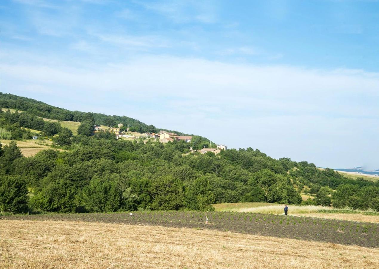 Le Pitture Casa Di Campagna Filiano 외부 사진
