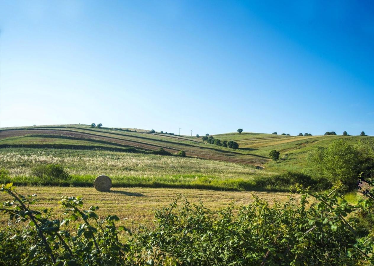 Le Pitture Casa Di Campagna Filiano 외부 사진