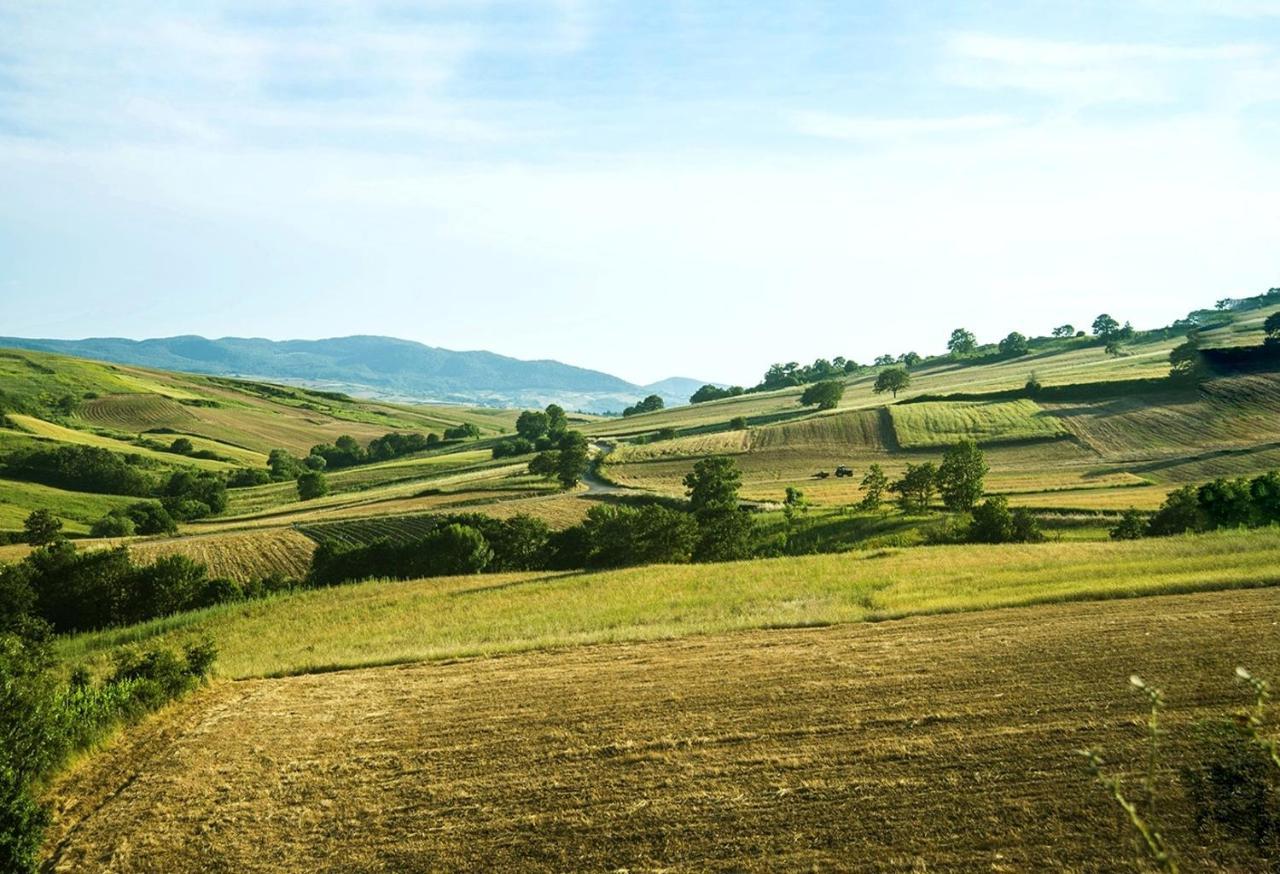 Le Pitture Casa Di Campagna Filiano 외부 사진